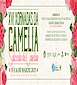 FiestasRelacionadas XVIII Xornadas da Camelia (1) en Salceda de Caselas