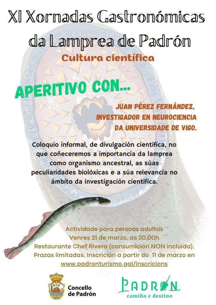 XI Xornadas Gastronómicas da Lamprea (2025) en Padrón