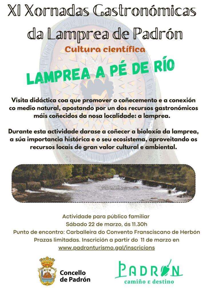 XI Xornadas Gastronómicas da Lamprea (2025) en Padrón