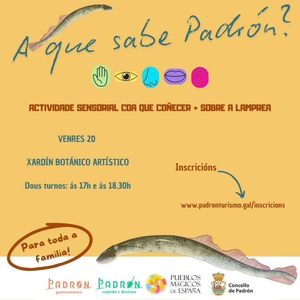 XII Xornadas Gastronómicas da Lamprea en Padrón