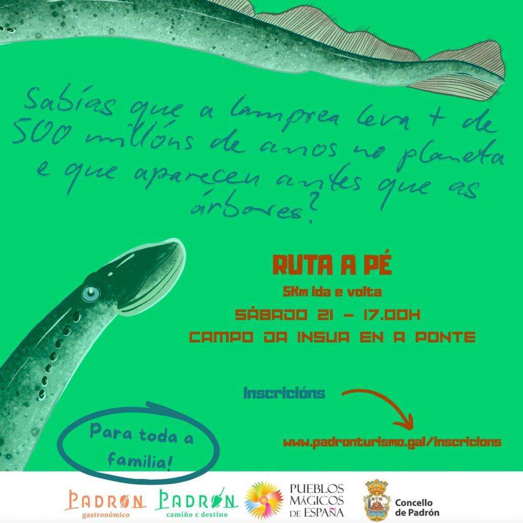 XII Xornadas Gastronómicas da Lamprea en Padrón