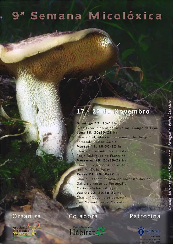IX Xornadas Micolóxicas en A Coruña