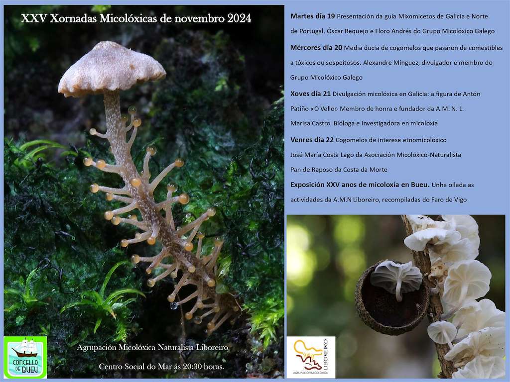 XXIII Xornadas Micolóxicas en Bueu