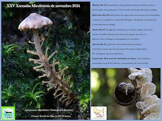Fechas, información, programa, cartel, imágenes, mapa y ubicación de XXV Xornadas Micolóxicas  en  Bueu