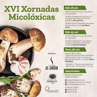 Fechas, información, programa, cartel, imágenes, mapa y ubicación de XVI Xornadas Micolóxicas (2025)  en  Carballo