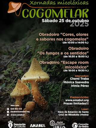 Fechas, información, programa, cartel, imágenes, mapa y ubicación de Xornadas Micolóxicas Cogomelar (2025)  en  Vedra