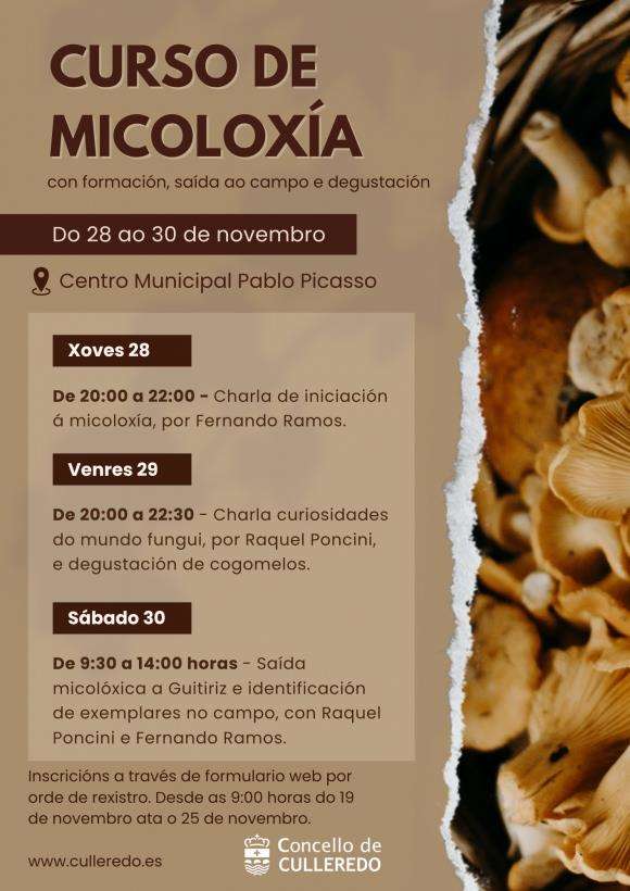 Xornadas Micolóxicas en Culleredo