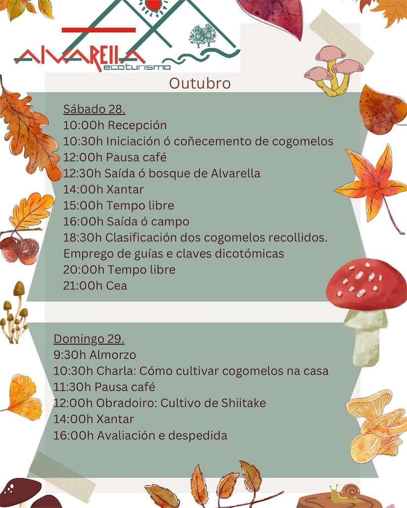 Xornadas Micolóxicas de Alvarella  en A Coruña
