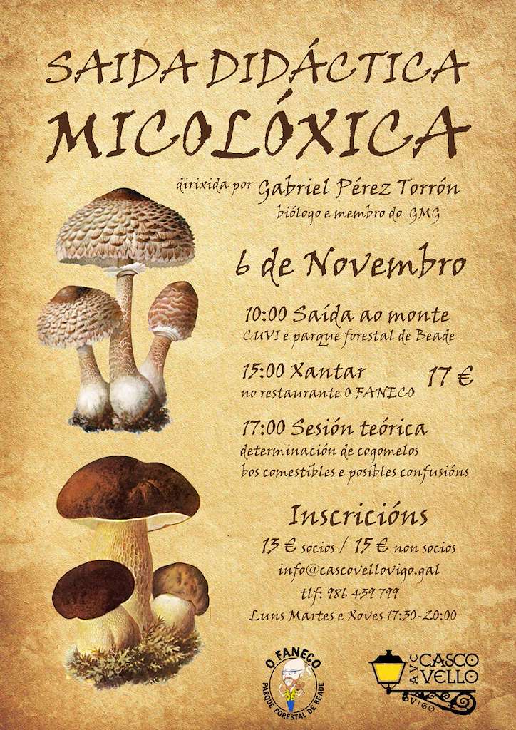 Xornadas Micolóxicas do Casco Vello en Vigo