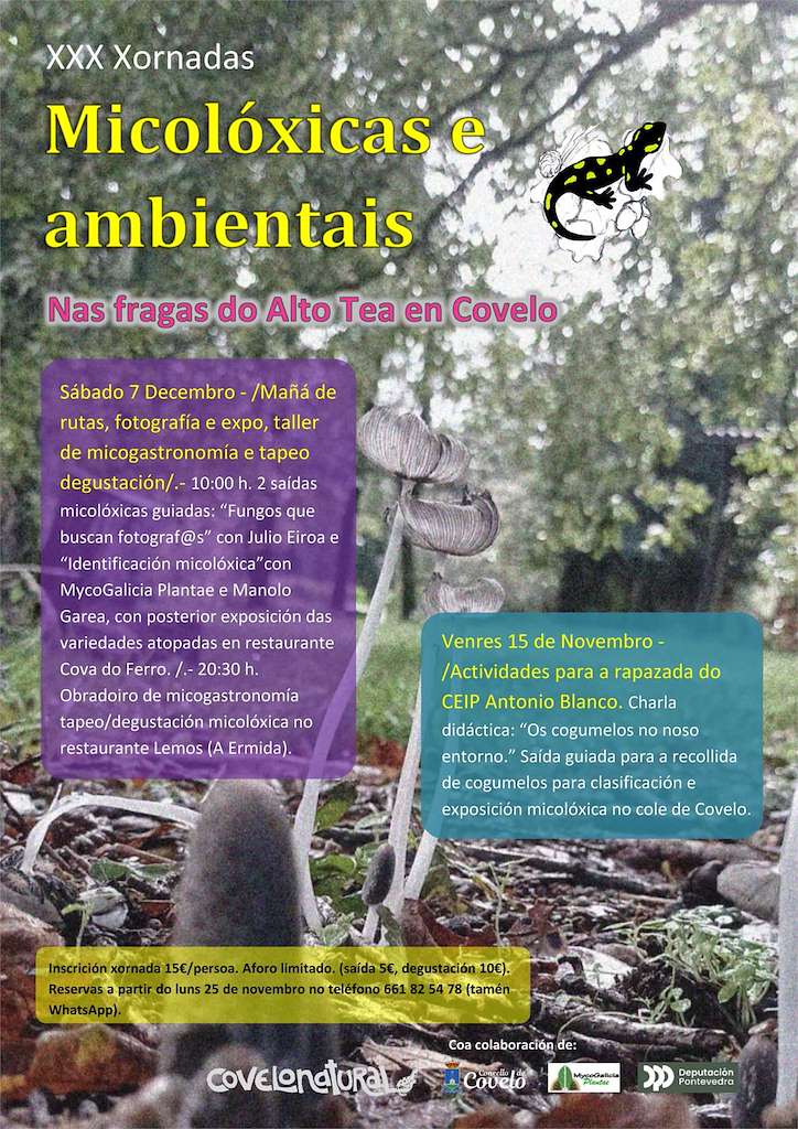 XXX Xornadas Micolóxicas e Ambientais en Covelo