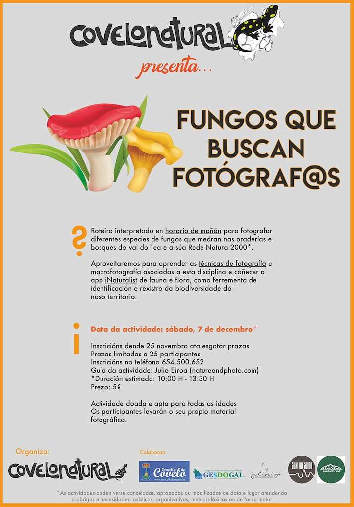 XXX Xornadas Micolóxicas e Ambientais en Covelo