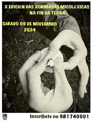 Fechas, información, programa, cartel, imágenes, mapa y ubicación de XI Xornadas Micolóxicas  (2025)  en  Fisterra