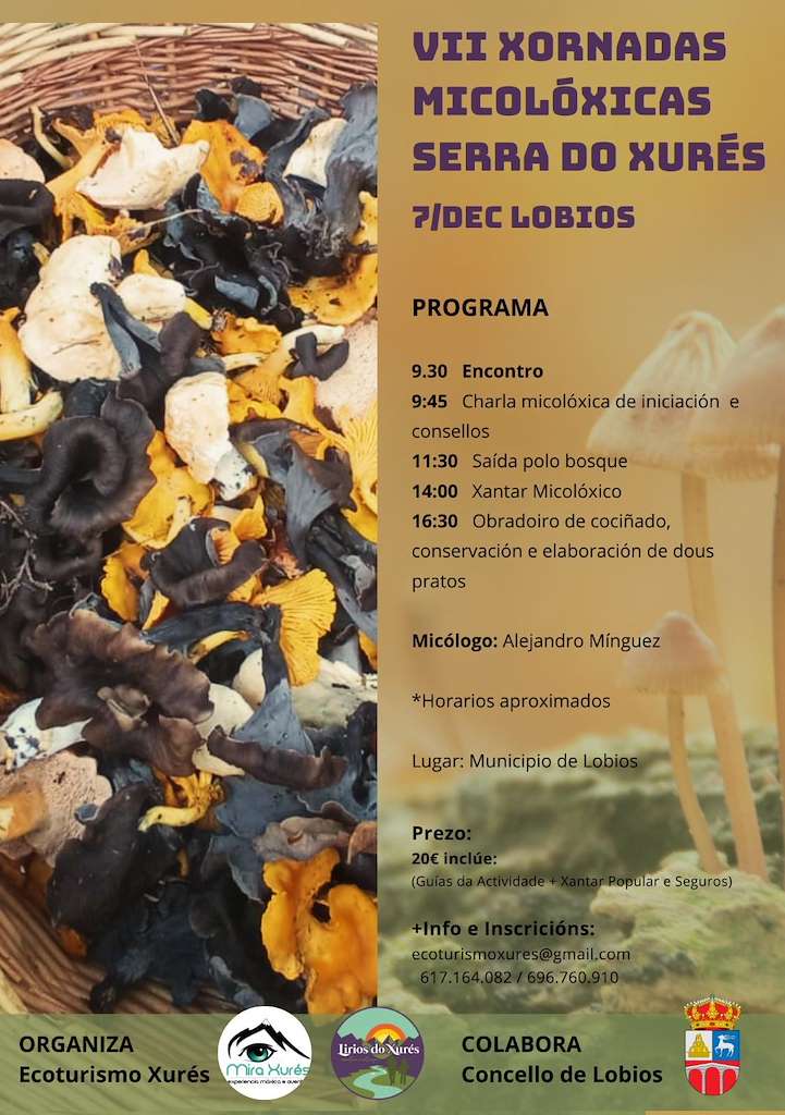 VII Xornadas Micolóxicas en Lobios