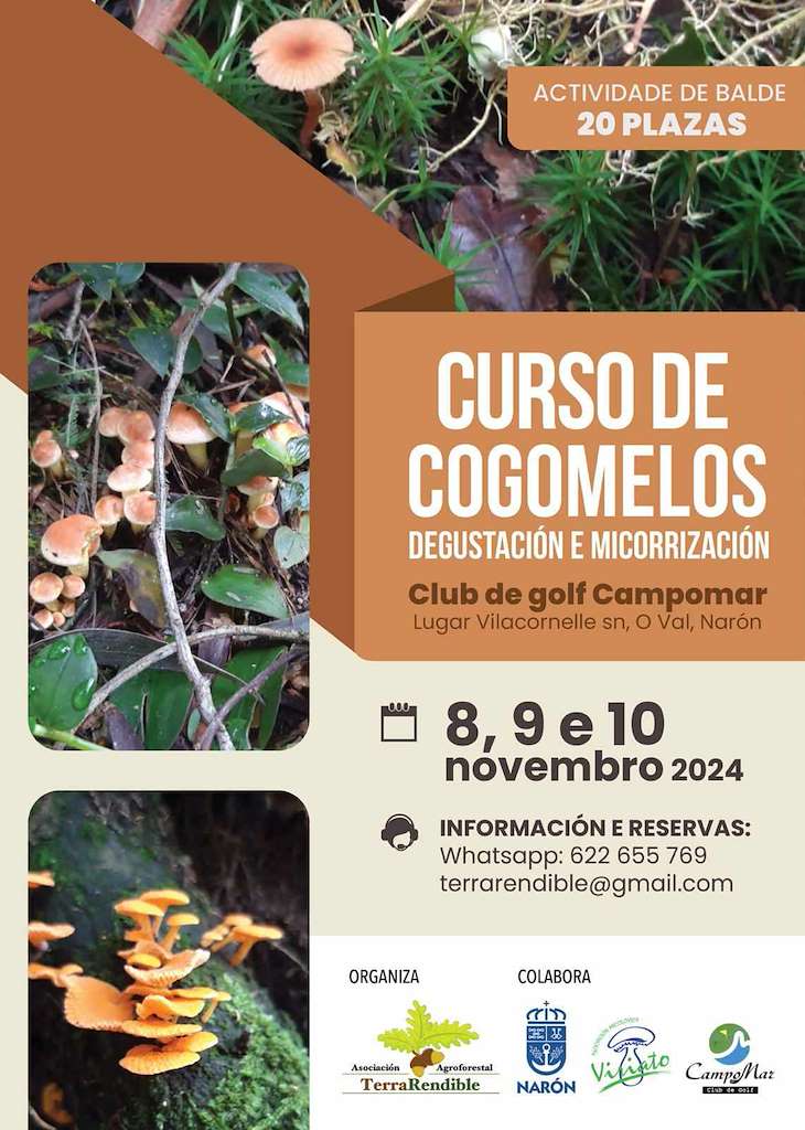 V Xornadas Micolóxicas en Narón