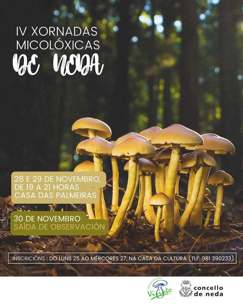 IV Xornadas Micolóxicas en Neda