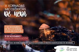 Fechas, información, programa, cartel, imágenes, mapa y ubicación de V Xornadas Micolóxicas (2025) en Neda