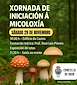 FiestasRelacionadas II Xornadas Micolóxicas (1) en Noia