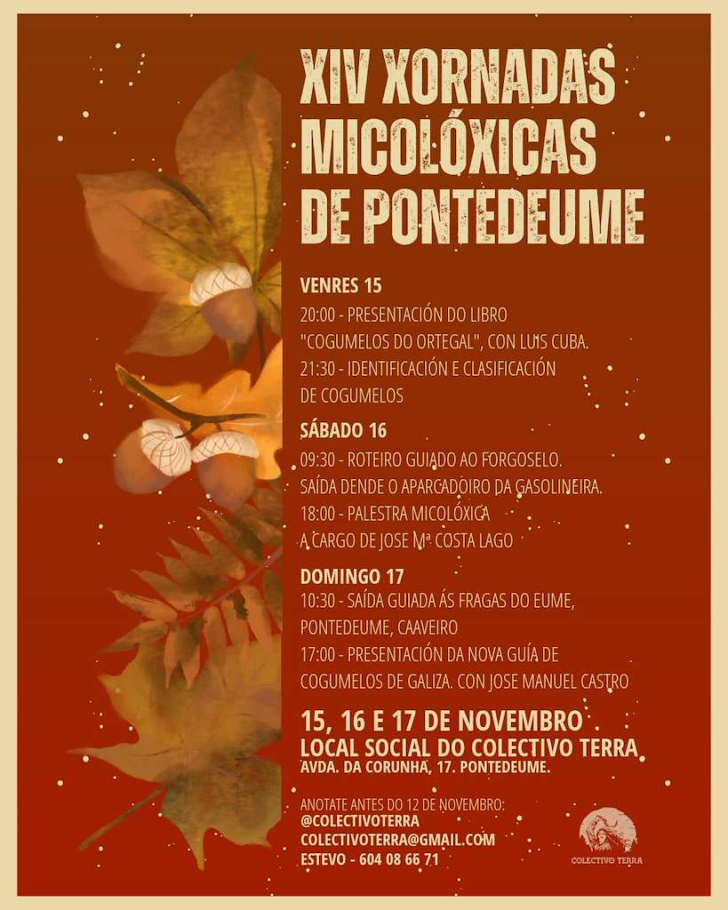 XII Xornadas Micolóxicas en Pontedeume