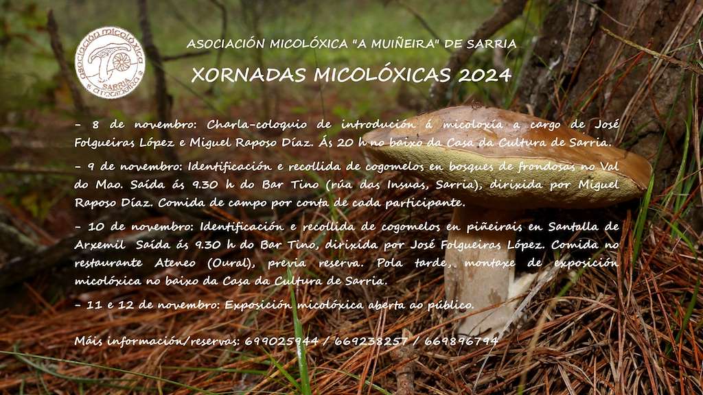 Xornadas Micolóxicas en Sarria