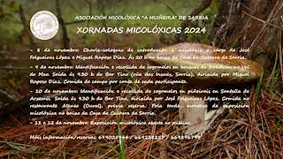 Fechas, información, programa, cartel, imágenes, mapa y ubicación de Xornadas Micolóxicas en Sarria