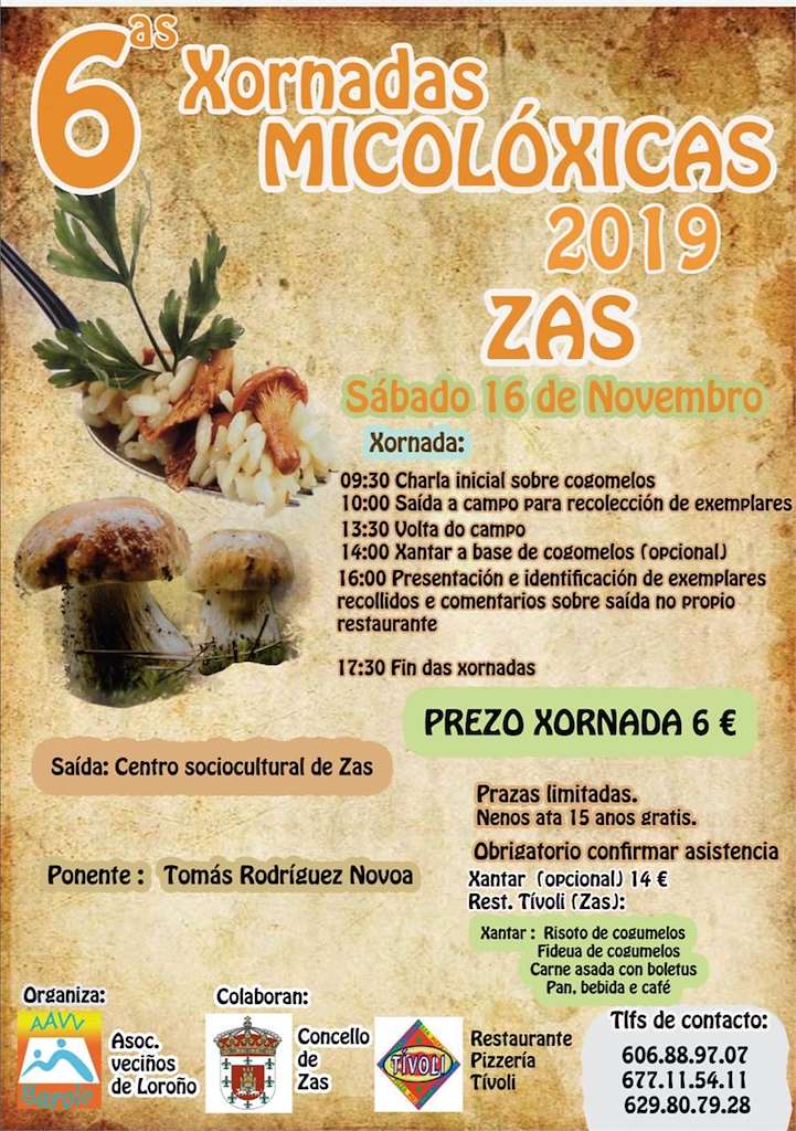 VI Xornadas Micolóxicas en Zas
