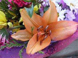 Xullo, Mes da Patria en Fene