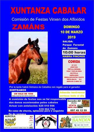 Xuntanza Cabalar de Zamáns en Vigo