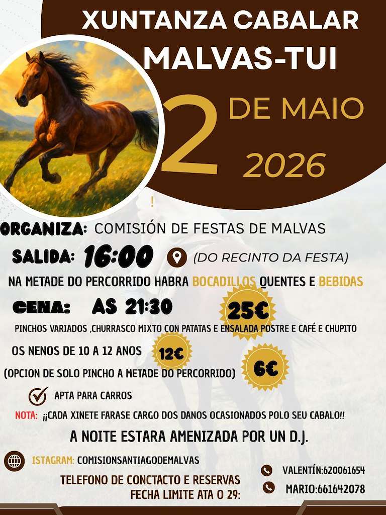 Xuntanza Cabalar de Malvas (2026) en Tui