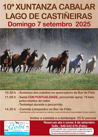 Fechas, información, programa, cartel, imágenes, mapa y ubicación de X Xuntanza Cabalar do Lago de Castiñeiras  en  Marín