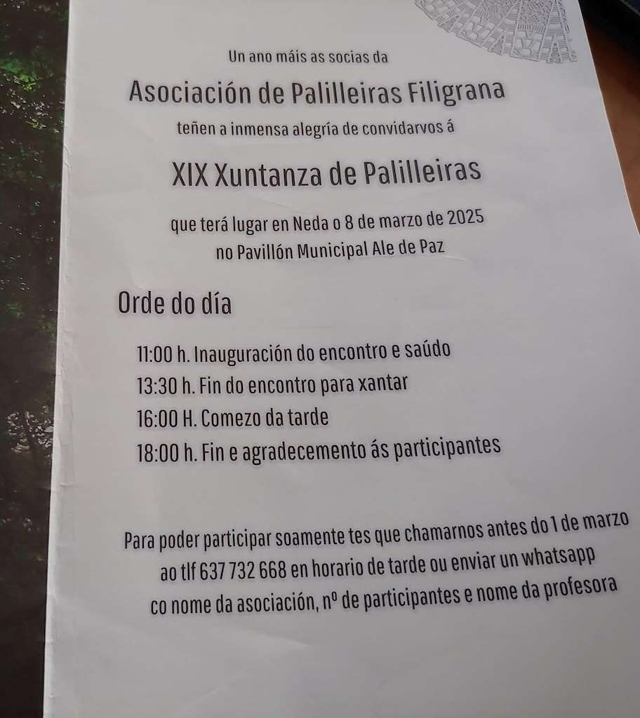 XIX Xuntanza de Palilleiras en Neda