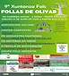 FiestasRelacionadas IX Xuntanza Folc Follas de Olivar en Ponte Caldelas