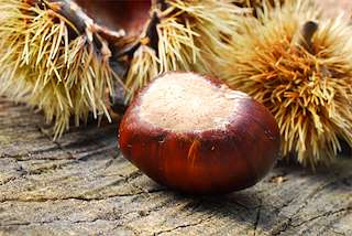 XVIII Andaina da Castaña e XVIII Andaina para Cativos (2025) en Parada de Sil