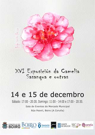 XX Exposición da Camelia Sasanqua e Outras Especies en Boiro