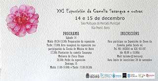 XX Exposición da Camelia Sasanqua e Outras Especies en Boiro