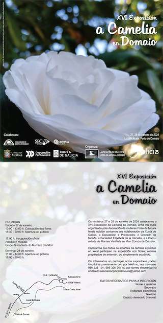 XVII Exposición de Camelias de Domaio en Moaña