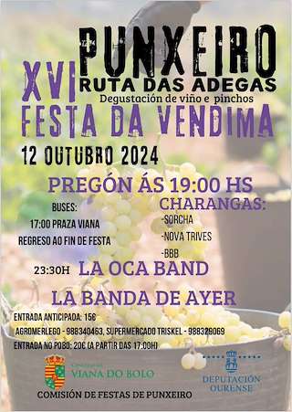 XVII Festa da Vendima - Ruta das Adegas  en Viana do Bolo