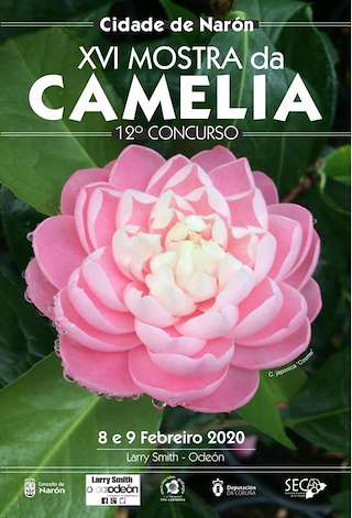 XX Mostra da Camelia (2026) en Narón