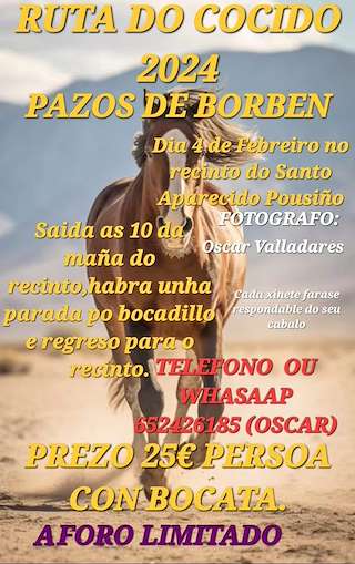 XVII Ruta do Cocido en Pazos de Borbén