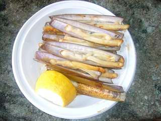 XVIII Festa da Exaltación da Navalla en A Illa de Arousa