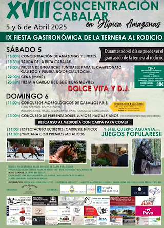 XIX Concentración Cabalar e X Festa Gastronómica da Terneira ao Rodicio en Ponte Caldelas