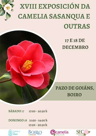 XX Exposición da Camelia Sasanqua e Outras Especies en Boiro