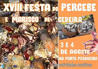 XXII Festa do Percebe en Cedeira