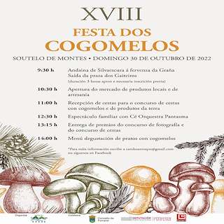 XXI Festa dos Cogomelos de Soutelo de Montes (2025) en Forcarei