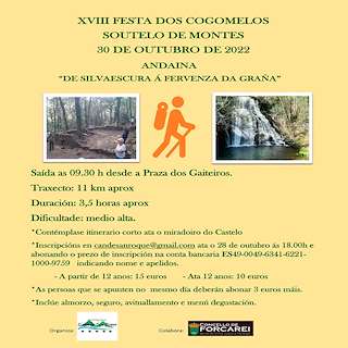 XXI Festa dos Cogomelos de Soutelo de Montes (2025) en Forcarei