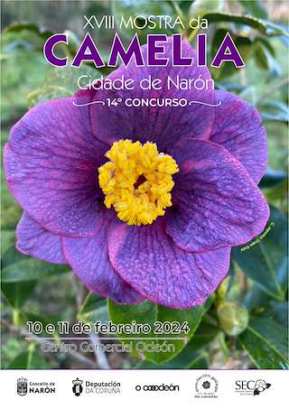 XX Mostra da Camelia (2026) en Narón
