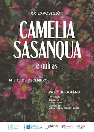 XXI Exposición da Camelia Sasanqua e Outras Especies (2025) en Boiro