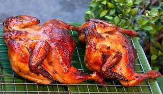 XXII Festa do Picantón en Teo