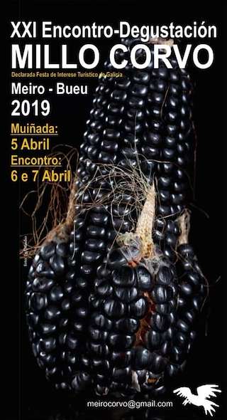 XXV Encontro - Degustación do Millo Corvo en Bueu