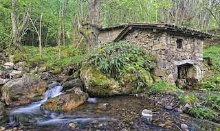 XXV Encontro - Degustación do Millo Corvo en Bueu