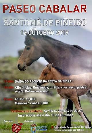 XXIV Festa da Mazá e da Sidra en Marín